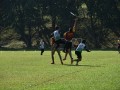 Tn dsc 0522